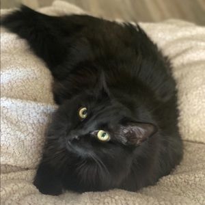 Meet your Posher, Paula